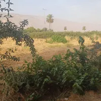 نیازبه همکاری نیروی علاقمند جهت کشت و فروش سبزی