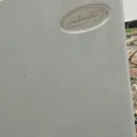 آبگرمکن سایوگستر