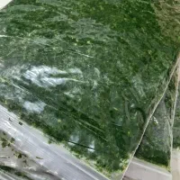 سبزی خورشتی و آشی..