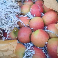 سیب درختی|خوردنی و آشامیدنی|کرج, ساسانی (قلمستان)|دیوار