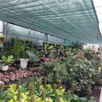 کلبه چوبی استخردار آبگرم دایم تسویه|اجارهٔ کوتاهمدت ویلا و باغ|خان ببین, |دیوار