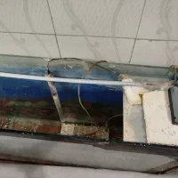 آکواریوم بزرگ|ماهی|بروجرد, |دیوار