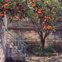 کارگرجنوبی ۱۳۰۰متر (فروش و تهاتر)