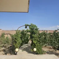 فروش-باغ-نقلی