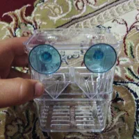 زایشگاه ماهی گوپی|ماهی|گرگان, |دیوار