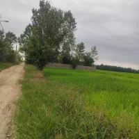 ۲۵۰۰ متر خانه و محوطه با قیمت استثنایی|فروش خانه و ویلا|رشت, شهریاران|دیوار