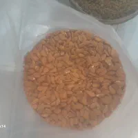 اتوپرس درحدنو قیمت ۶ ملیون مقطوع