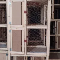 قفس جوجه گیری سوسنگرد|لوازم جانبی حیوانات|سوسنگرد, |دیوار