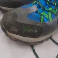 کفش|کیف، کفش، کمربند|مریوان, |دیوار