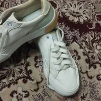 کتونی|کیف، کفش، کمربند|قم, ولیعصر|دیوار