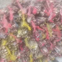 فروش چوب بسته‌ای خشک باروتی