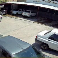 نیروی کارواش