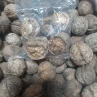 گردو ایرانی|خوردنی و آشامیدنی|مشهد, مقدم|دیوار