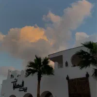 استخدام فست‌فودکار با سابقه