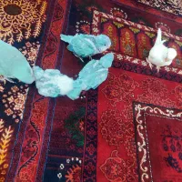 جوجه راهب خونگی نرمه خور آبی رنگ