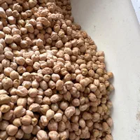 پخش حبوبات عمده ب (مستقیم از کشاورز خرید کنید)|خوردنی و آشامیدنی|رشت, منظریه|دیوار