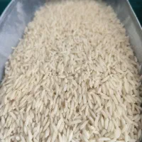 برنج طارم درجه یک|خوردنی و آشامیدنی|گلپایگان, |دیوار