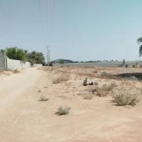 زمین کشاورزی 1000متری آبپخش