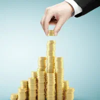 سرمایه گذاری در شرکت