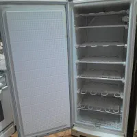 یک عدد یخچال و یک عدد فریزر سالم|یخچال و فریزر|برازجان, |دیوار