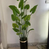 گیاه مصنوعی
