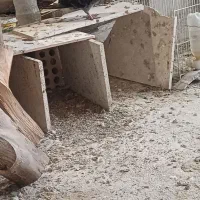 ماده دمسفید 16پر