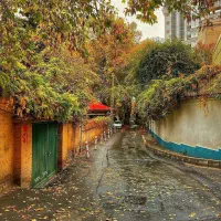 سلام بر دیوار