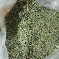 آویشن  برگ  کوهی تازه امسال