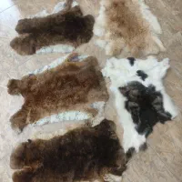 روکش چرمی اصل پوست روداشبورتی