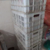 سبد پلاستیکی مرغی.