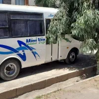 مینیبوس سیترا