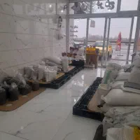 برنج هندی ۱۱۲۱ خاطره  کیلویی ۱۴۰ هزار