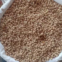 فروش ( خریدار نخود و عدس هستم )