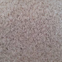 برنج طارم هاشمی