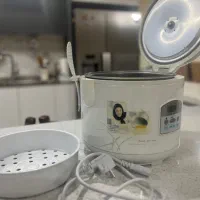 پلوپز بخارپز ارام پز