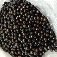 دانه یسر برای درست کردن  (تسبیح یسر )|جواهرات|رشت, معلم|دیوار