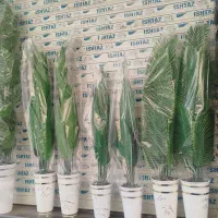 فروشند خانم جهت فروشندگی مغازه گل فروشی ومنتاژ کار