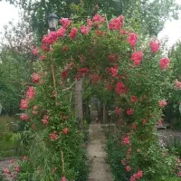 ویلایی ۱۵۰۰ متری۱۲۰ متر بنا (دنج،ویو جنگلی و شالی)|فروش خانه و ویلا|خمام, |دیوار