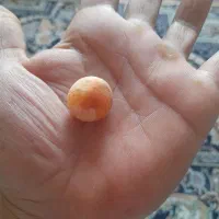 سنگ|جواهرات|ورامین, ورامین|دیوار