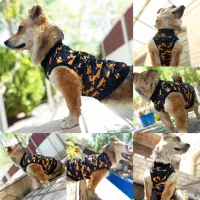 دورس آستر دار