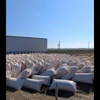 خریدار کاه دیم کمباین تناژ بالا|خدمات باغبانی و درختکاری|قروه, |دیوار