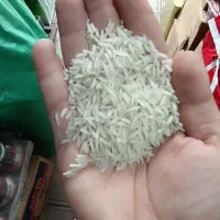 برنج طارم محلی محمود آباد کیلویی ۲۳۰