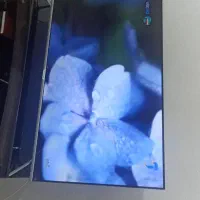 tv b by|تلویزیون و پروژکتور|رامسر, |دیوار