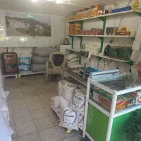 فروشگاه چای و برنج لاهیجان|خدمات پذیرایی، مراسم|قوچان, |دیوار