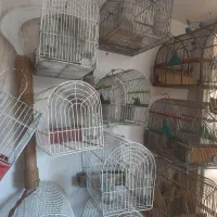 قفس سهره