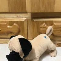 عروسک|اسباببازی|شاهینشهر, مخابرات (شهید بهشتی)|دیوار