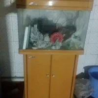 آکواریوم وارداتی شیشه خم کمد دار در حد