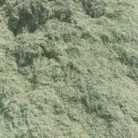 فروش کاه سبز دام