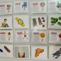 فلش کارت یا کارت های دیدآموز