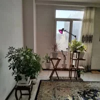 هم خونه میشم